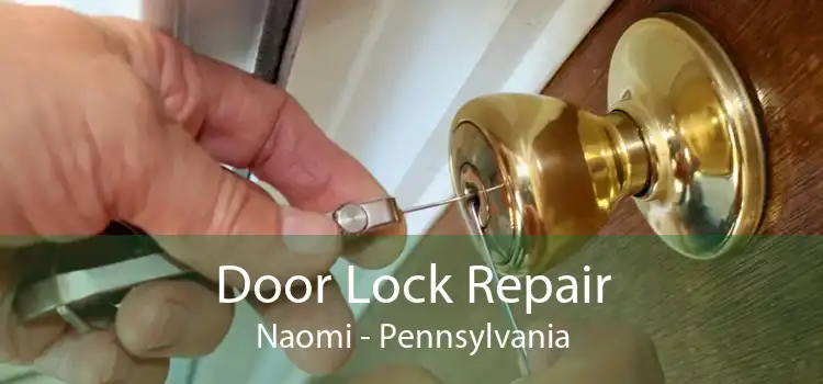 Door Lock Repair Naomi - Pennsylvania